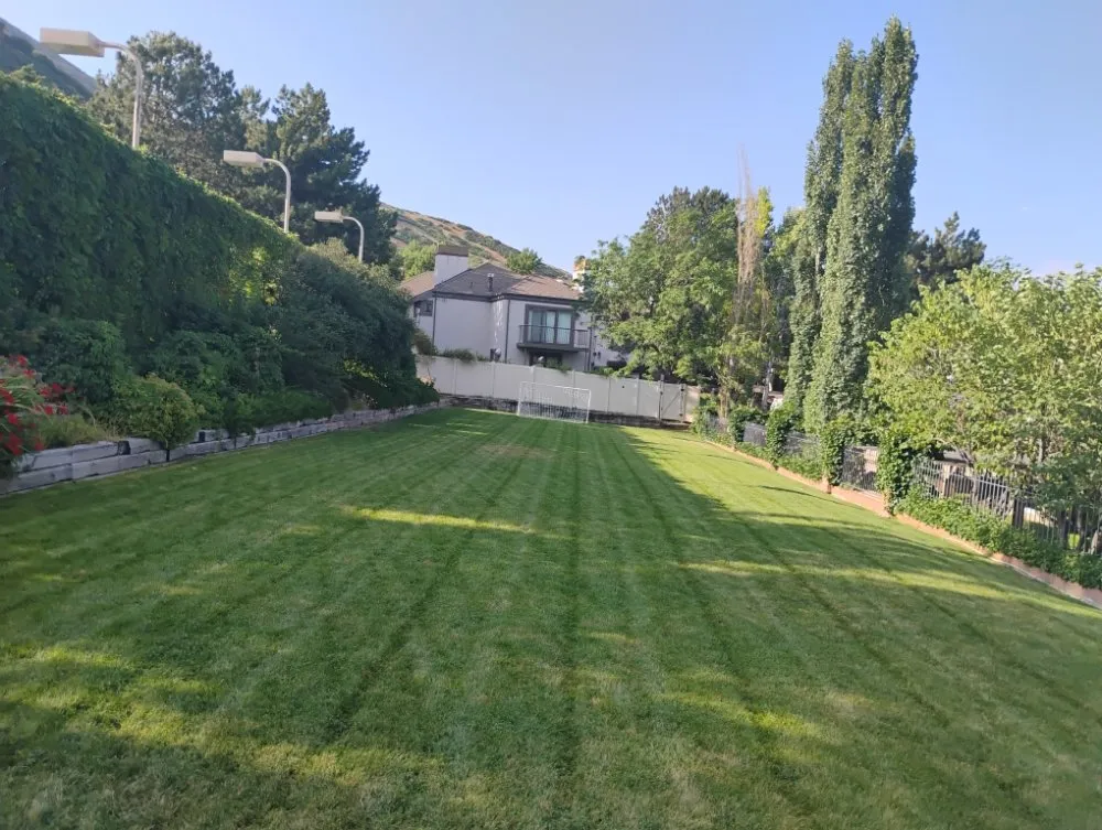 Trusted lawn care service for outdoor upgrades across West Valley City, UT - Proper Lawn Mowing
