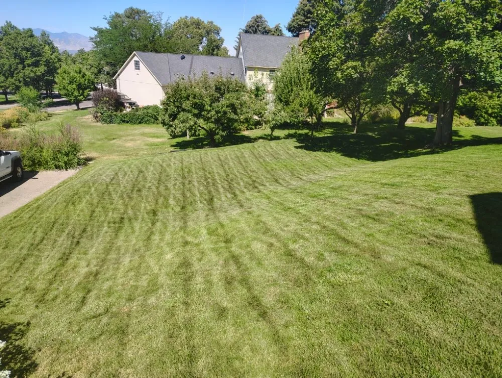 Expert lawn care service for year-round maintenance in West Valley City, UT by Proper Lawn Mowing
