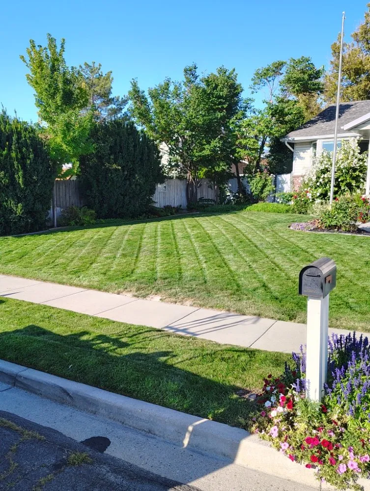 Affordable lawn care service in West Valley City, UT - Proper Lawn Mowing