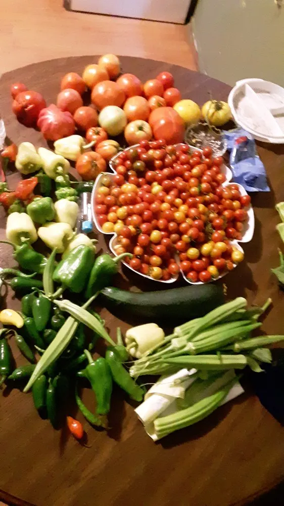 Top-rated residential landscaping in Topeka, KS by Proper Property Decor