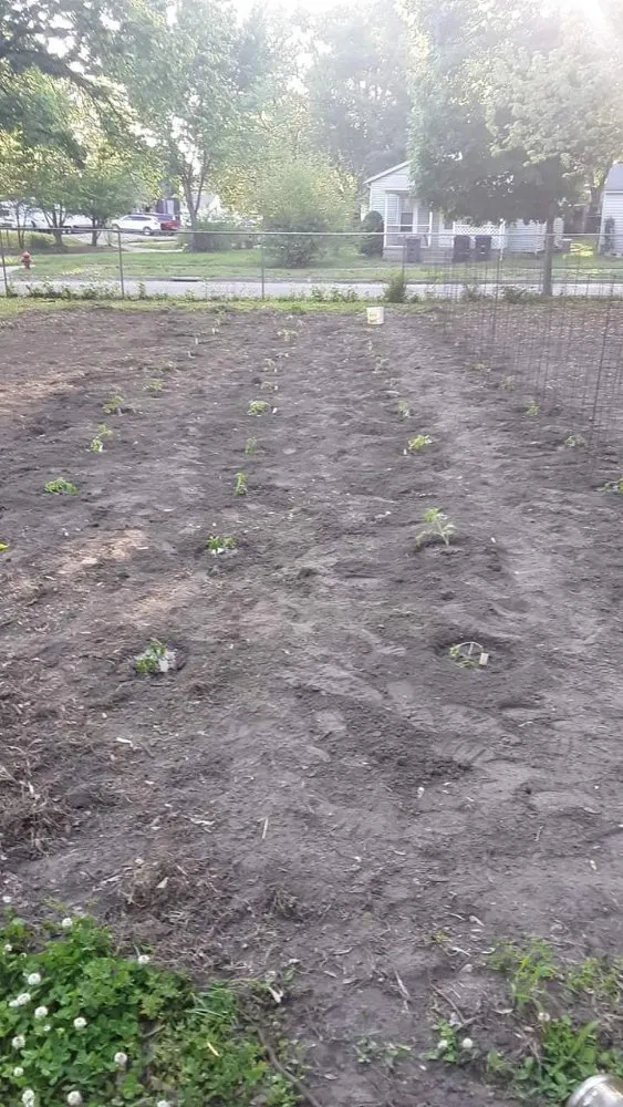 Professional landscape installation for homes across Topeka, KS - Proper Property Decor