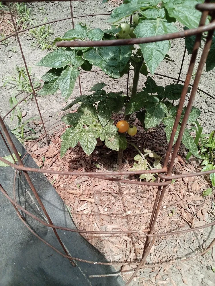 Expert residential landscaping experts serving Topeka, KS - Proper Property Decor