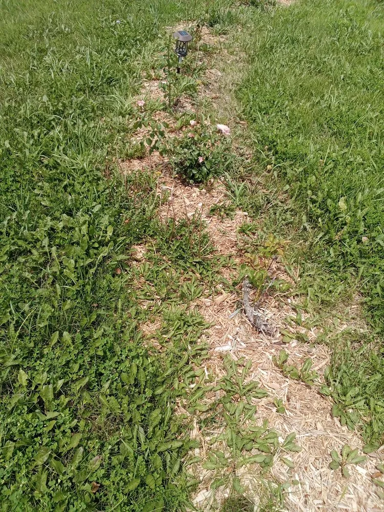 Affordable outdoor landscaping with custom design in Topeka, KS by Proper Property Decor