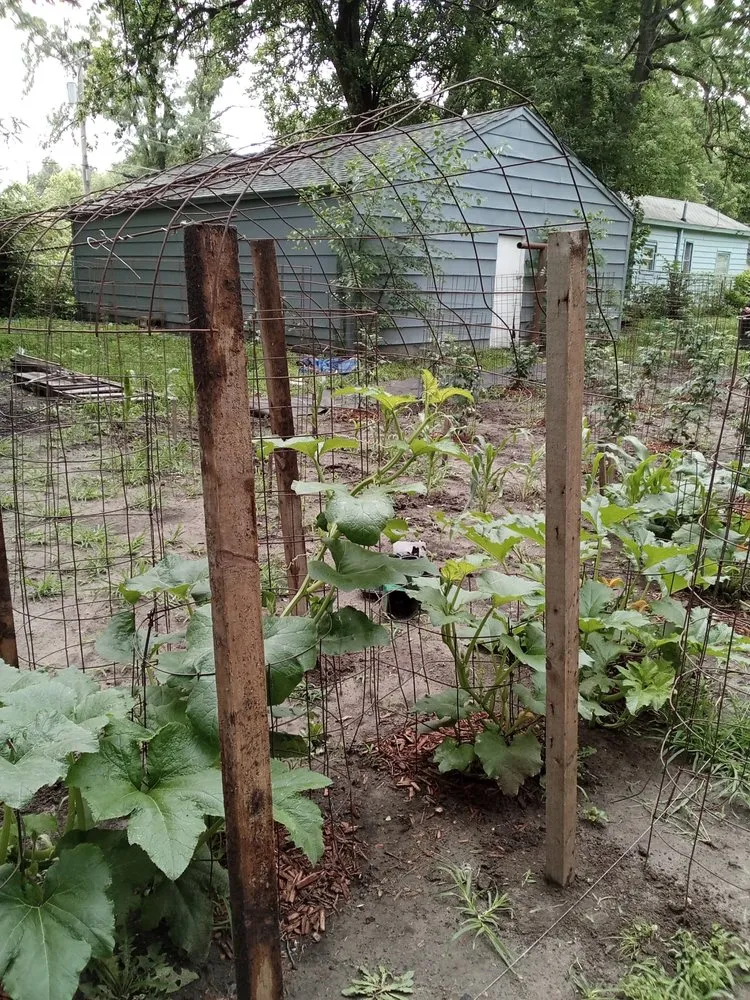 Expert yard cleanup service for residential properties in Topeka, KS by Proper Property Decor