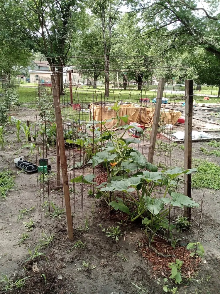 Reliable landscape design for homes in Topeka, KS by Proper Property Decor