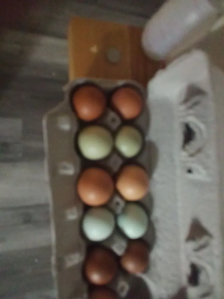 Affordable yard maintenance experts serving Topeka, KS - Proper Property Decor