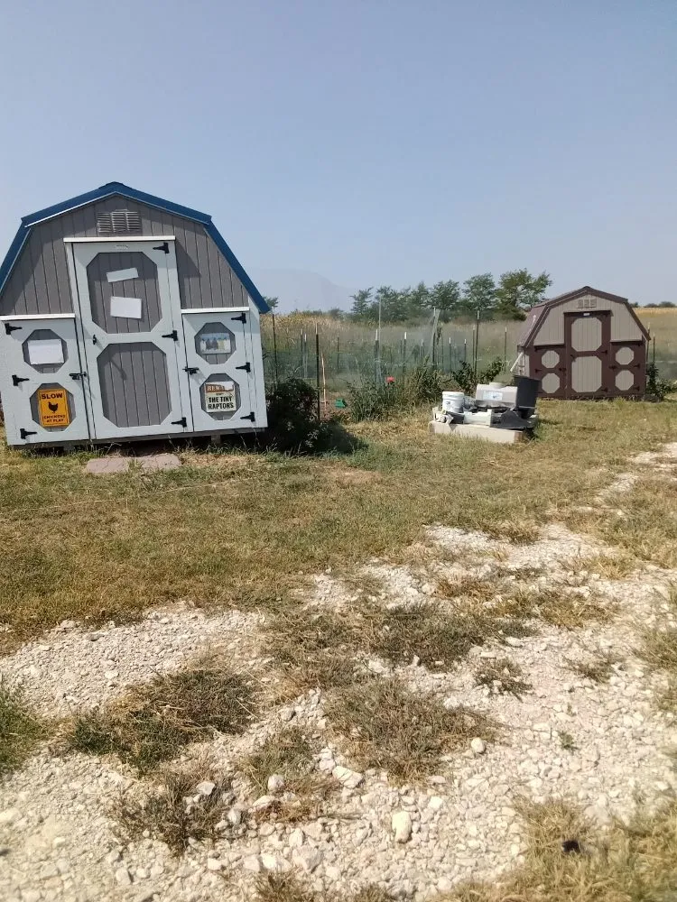 Local landscaping services with custom design in Topeka, KS by Proper Property Decor