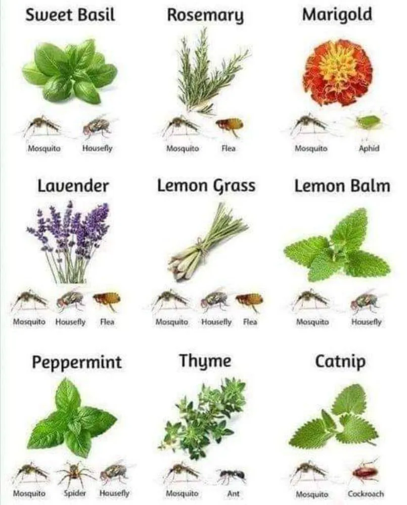 Custom landscaping services experts serving Topeka, KS - Proper Property Decor