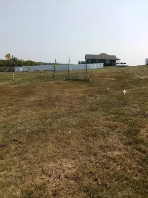 Proper Property Decor Logo