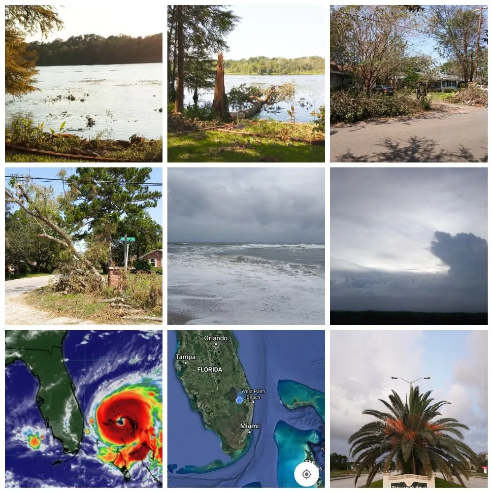 Custom garden landscaping in Brandon, FL - Proper Property Maintenance & Landscaping