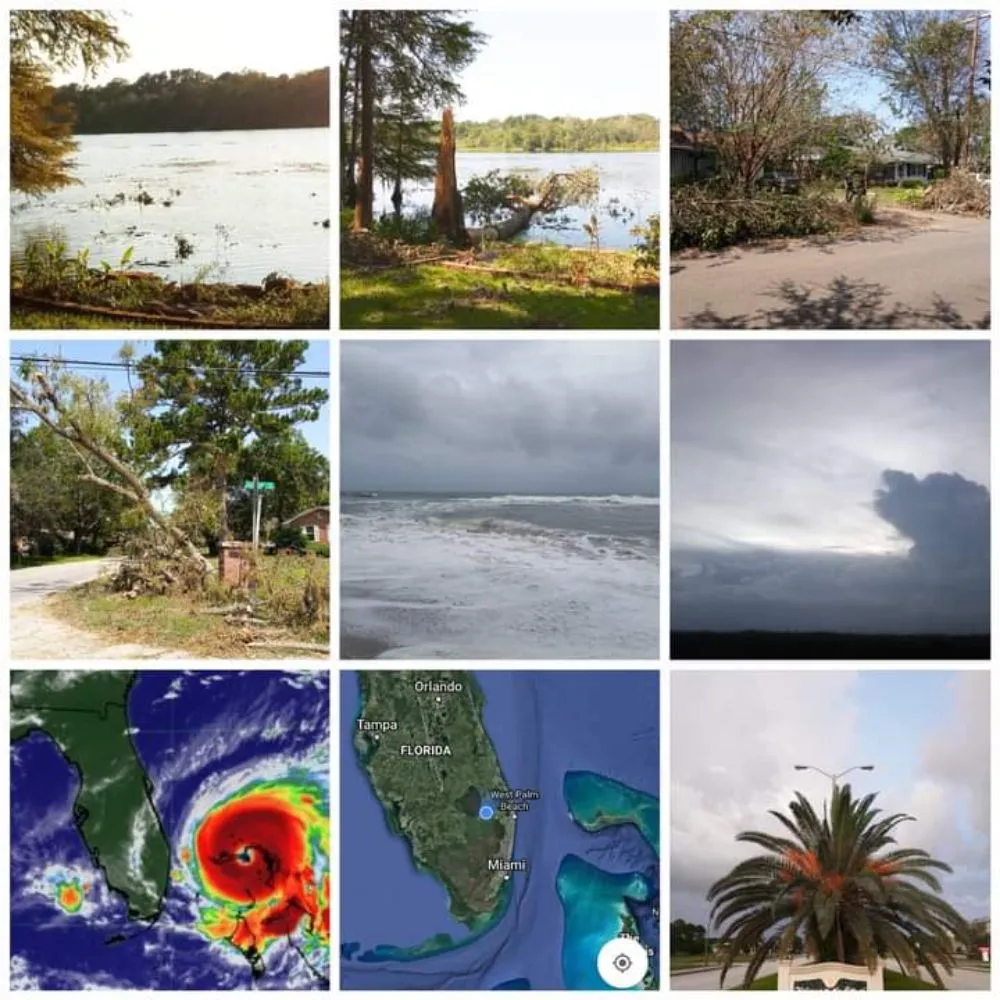 Expert yard cleanup service in Brandon, FL by Proper Property Maintenance & Landscaping