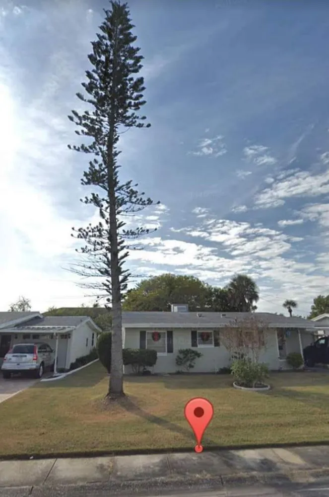 Professional yard maintenance experts serving Brandon, FL - Proper Property Maintenance & Landscaping