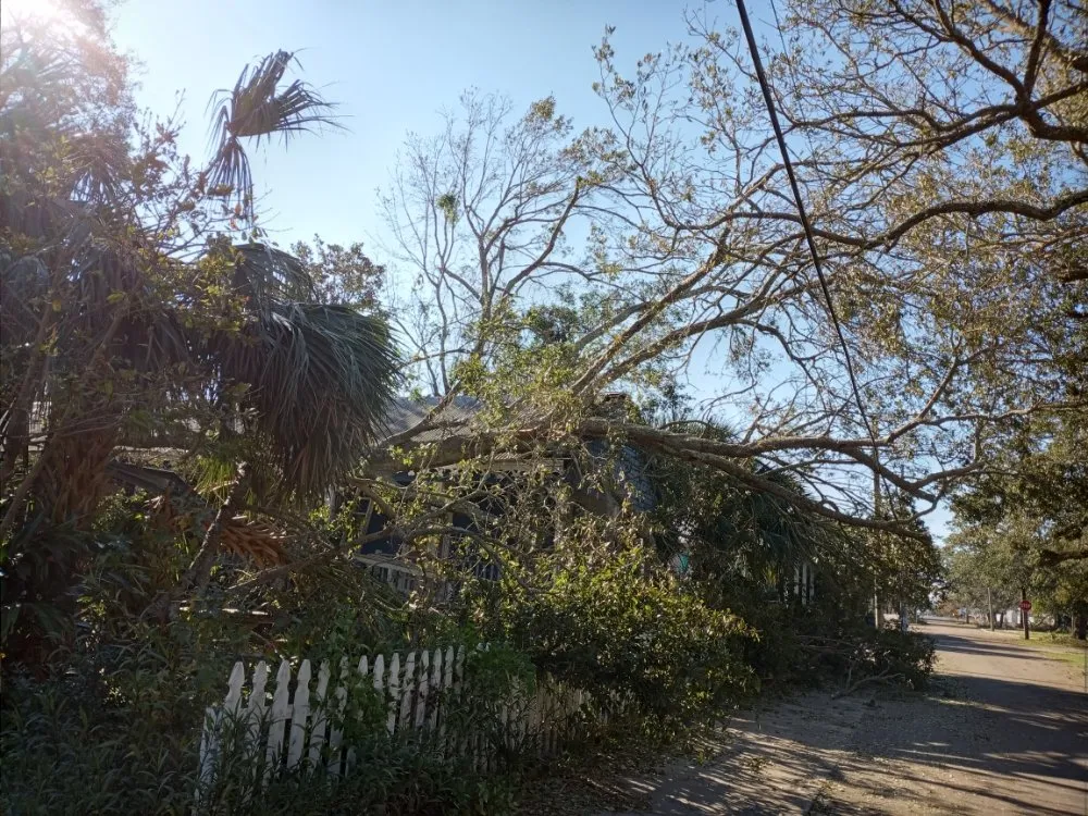 Local lawn care service in Brandon, FL by Proper Property Maintenance & Landscaping