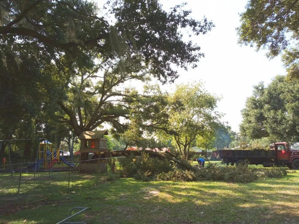 Custom lawn mowing service in Brandon, FL by Proper Property Maintenance & Landscaping