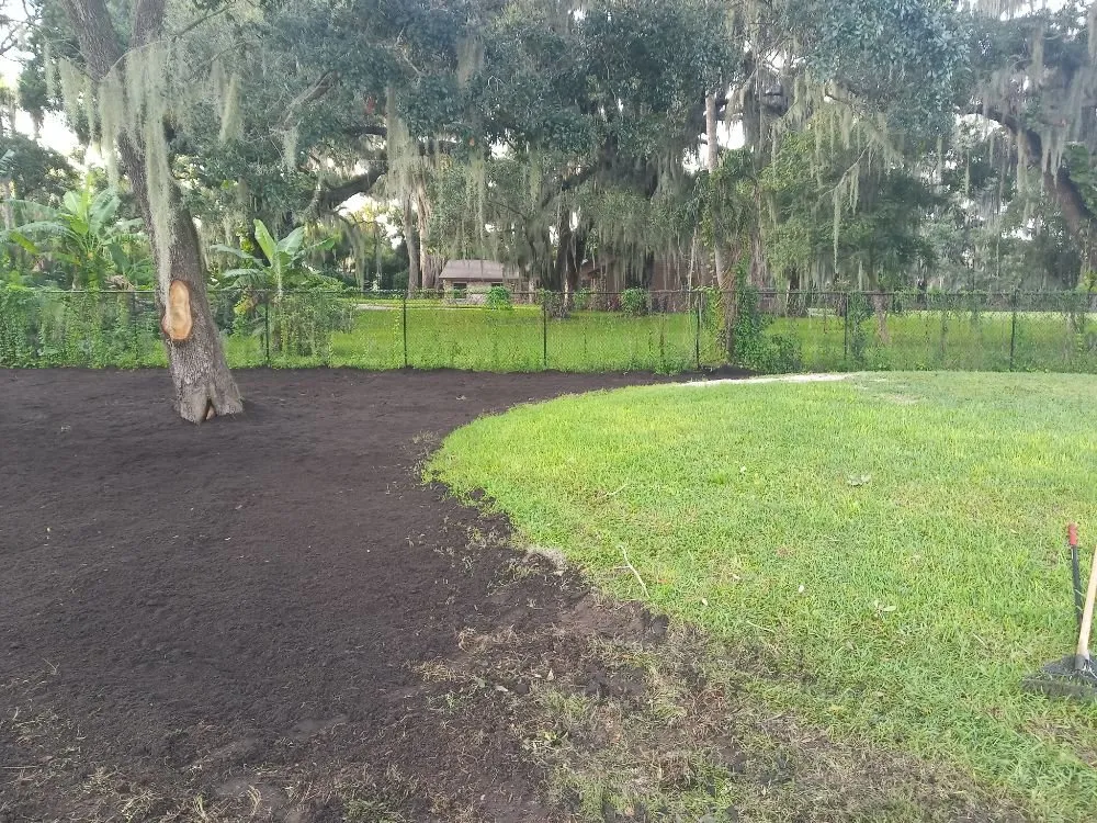 Expert residential landscaping in Brandon, FL by Proper Property Maintenance & Landscaping