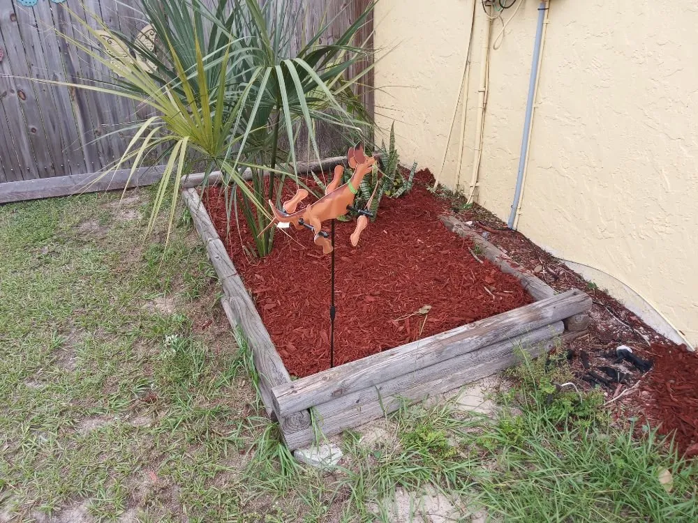 Trusted residential landscaping in Brandon, FL by Proper Property Maintenance & Landscaping