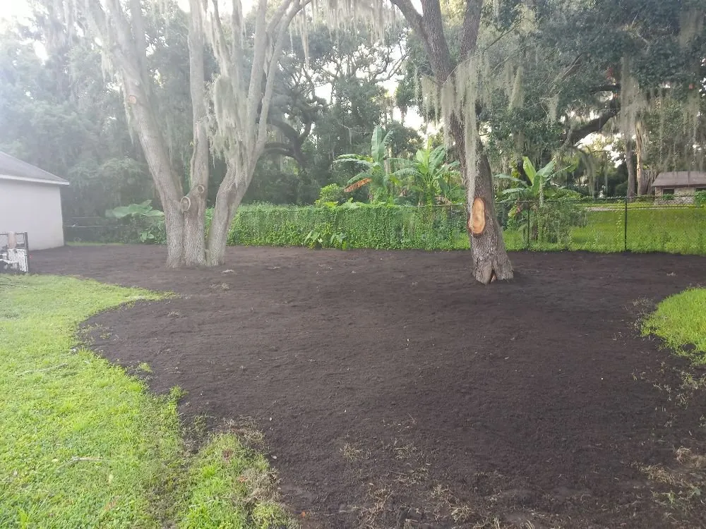 Affordable yard cleanup service experts serving Brandon, FL - Proper Property Maintenance & Landscaping