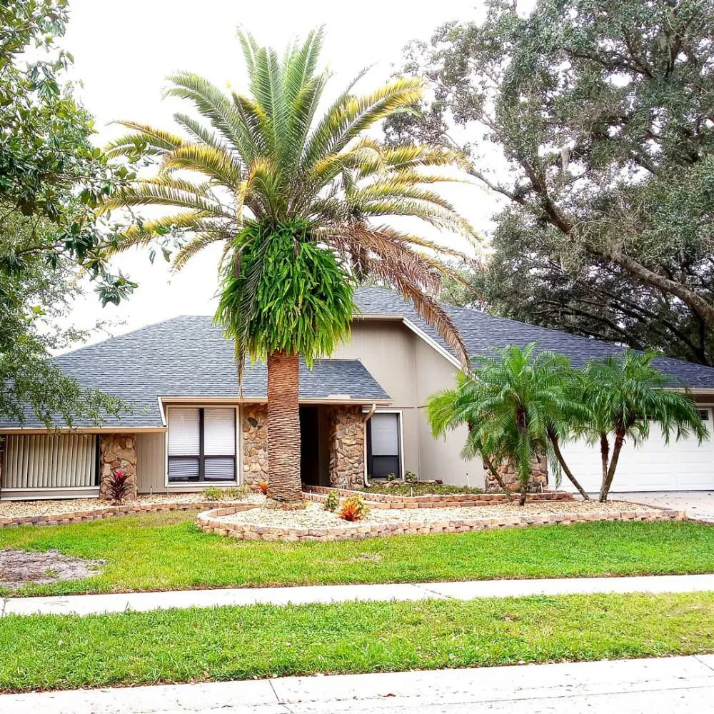 Top-rated yard cleanup service in Brandon, FL - Proper Property Maintenance & Landscaping