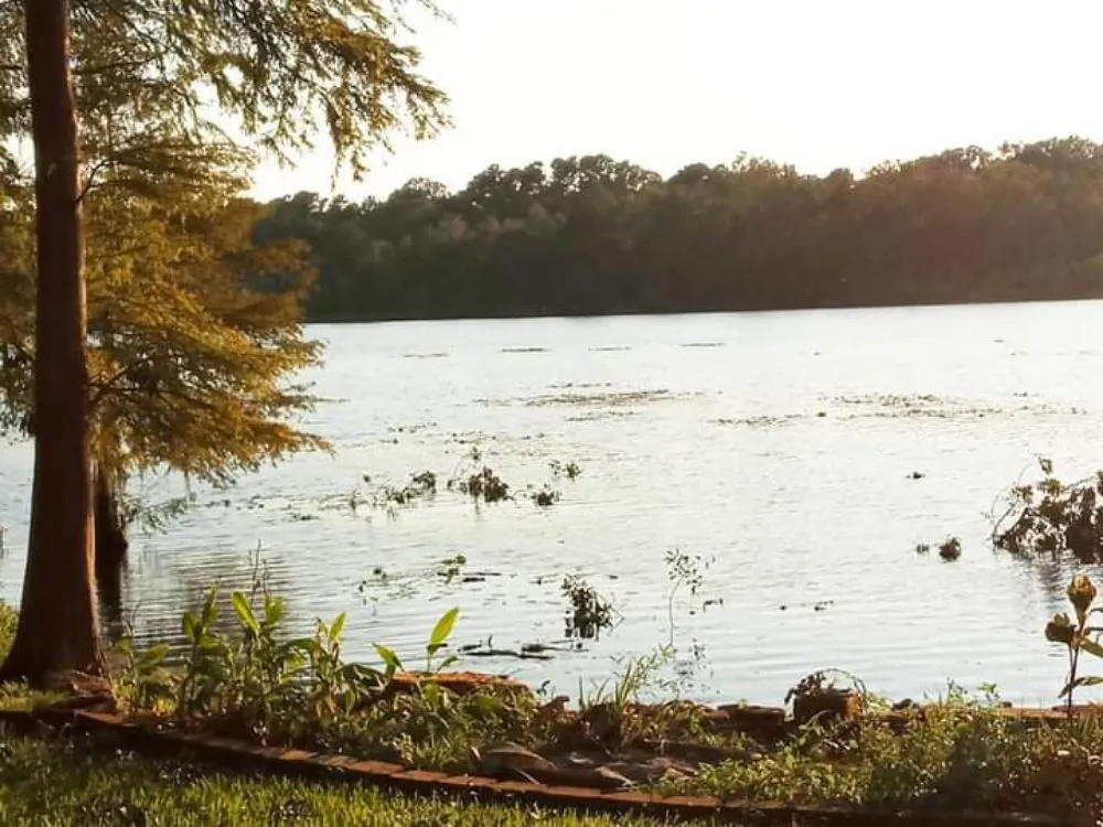 Trusted lawn mowing service in Brandon, FL - Proper Property Maintenance & Landscaping