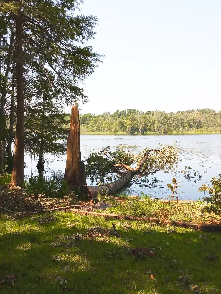 Custom garden landscaping in Brandon, FL - Proper Property Maintenance & Landscaping