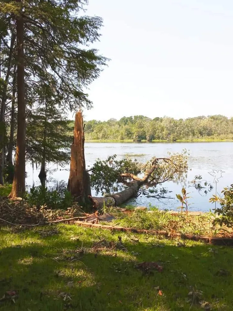 Professional landscape design for beautiful yards across Brandon, FL - Proper Property Maintenance & Landscaping