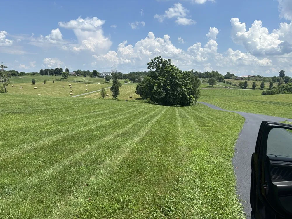 Local yard cleanup service in Winchester, KY - Proper Stripes Lawn Service