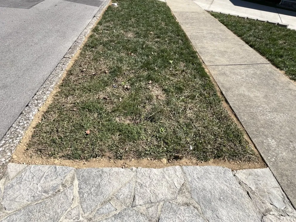 Local landscape installation in Winchester, KY by Proper Stripes Lawn Service