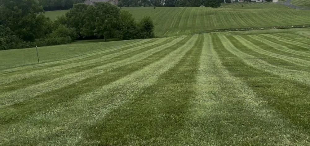 Trusted garden landscaping in Winchester, KY - Proper Stripes Lawn Service
