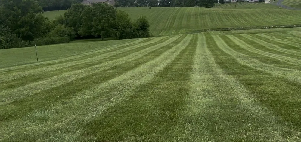 Top-rated yard maintenance in Winchester, KY - Proper Stripes Lawn Service