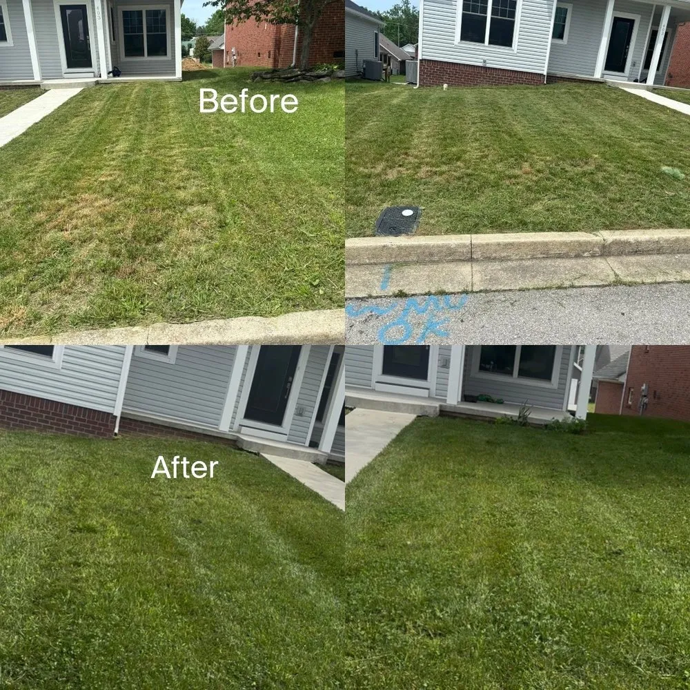 Custom residential landscaping in Winchester, KY by Proper Stripes Lawn Service