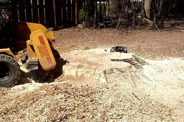 Custom lawn care service in Fairport, NY - Property Care