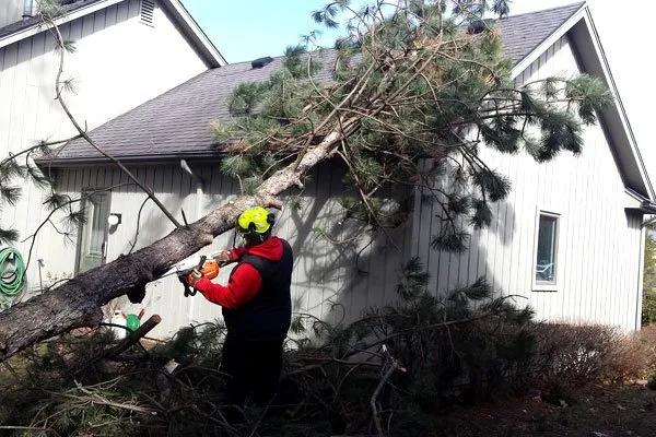 Top-rated yard maintenance for year-round maintenance in Fairport, NY by Property Care