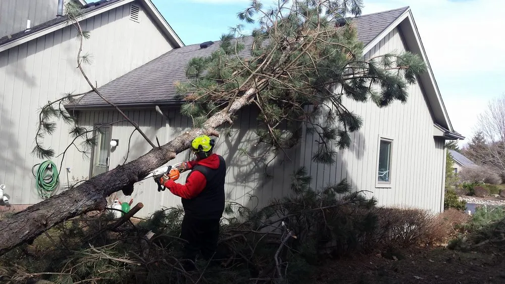 Affordable garden landscaping in Fairport, NY by Property Care