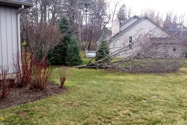 Custom garden landscaping in Fairport, NY by Property Care