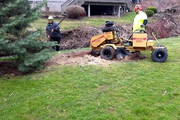 Trusted landscape installation for outdoor upgrades across Fairport, NY - Property Care