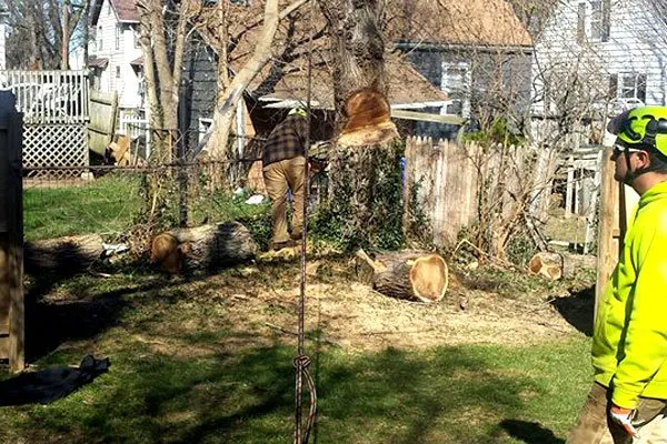 Custom yard maintenance for beautiful yards across Fairport, NY - Property Care