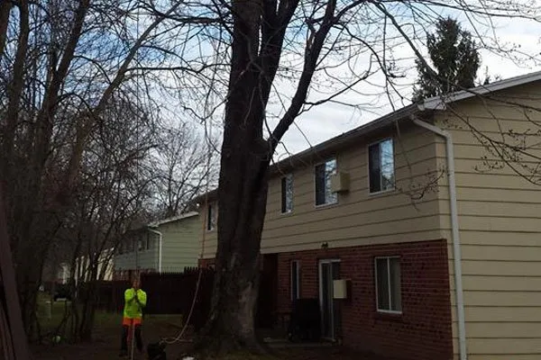 Top-rated outdoor landscaping for homes across Fairport, NY - Property Care