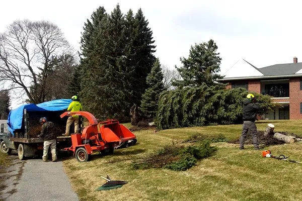 Trusted landscape installation for beautiful yards in Fairport, NY by Property Care