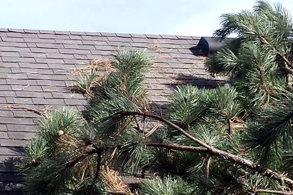 Affordable lawn mowing service for homes across Fairport, NY - Property Care