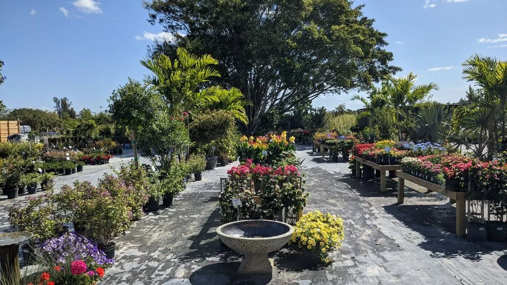 Trusted landscape installation for homes in Fort Myers, FL by Property Care Landscapes