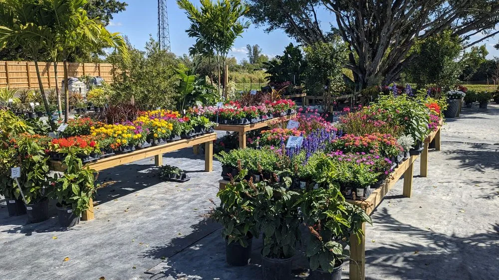 Expert yard maintenance for residential properties in Fort Myers, FL by Property Care Landscapes