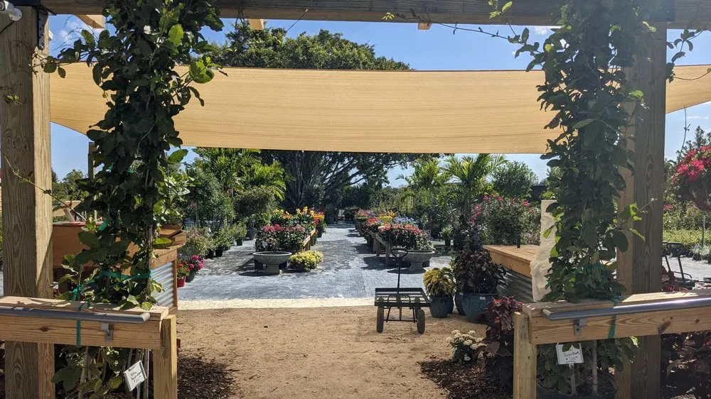 Expert yard maintenance for year-round maintenance across Fort Myers, FL - Property Care Landscapes