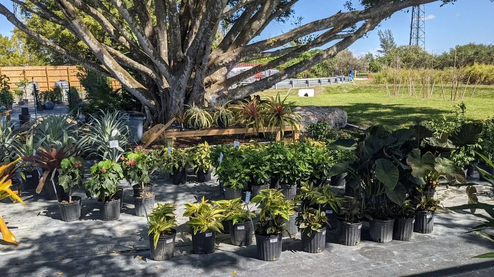 Expert outdoor landscaping in Fort Myers, FL by Property Care Landscapes