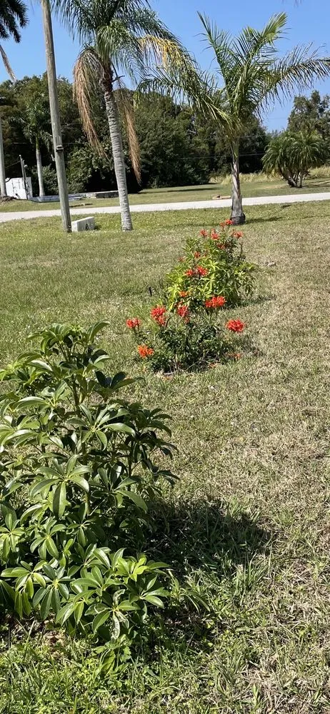 Custom yard maintenance near you across Fort Myers, FL - Property Care Landscapes