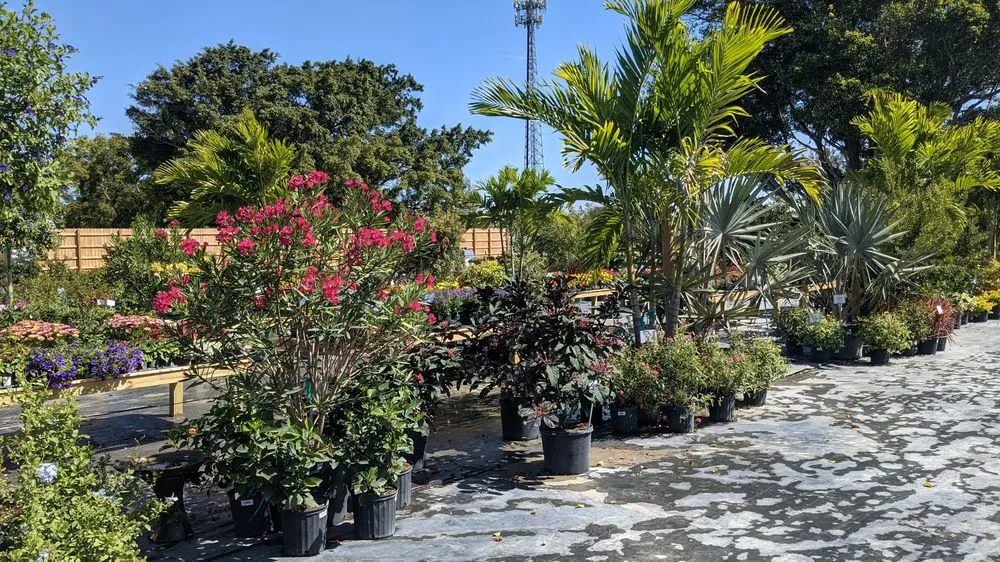 Top-rated yard cleanup service for residential properties in Fort Myers, FL by Property Care Landscapes