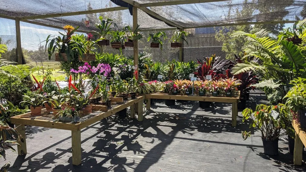 Local outdoor landscaping experts serving Fort Myers, FL - Property Care Landscapes