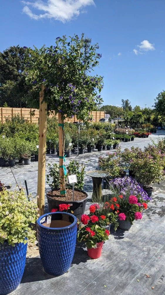 Local outdoor landscaping in Fort Myers, FL - Property Care Landscapes