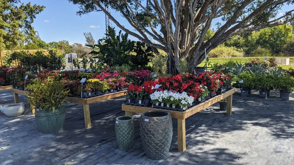 Affordable lawn care service for residential properties across Fort Myers, FL - Property Care Landscapes