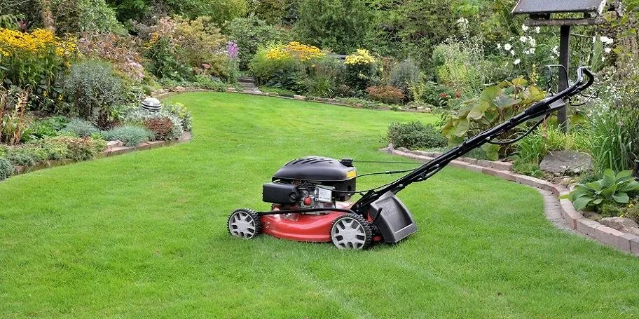 Local outdoor landscaping in Land O Lakes, FL by Property Care Landscaping