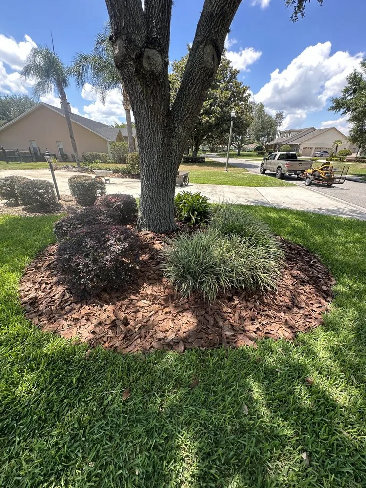 Affordable garden landscaping for year-round maintenance in Lakeland, FL by Property Care Management
